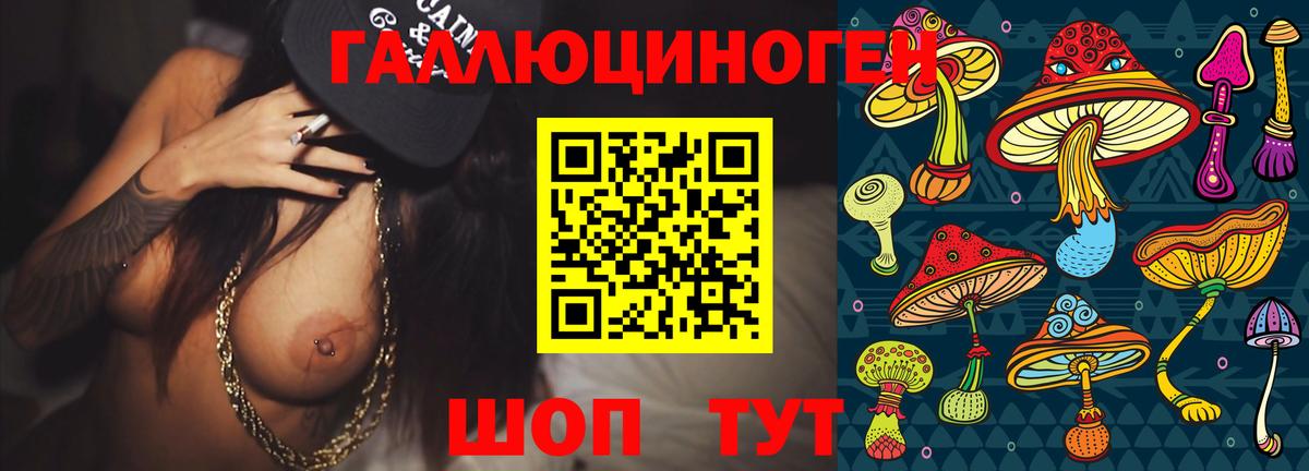 Орск  Галлюциногенные грибы Psilocybe  Вход с VPN 